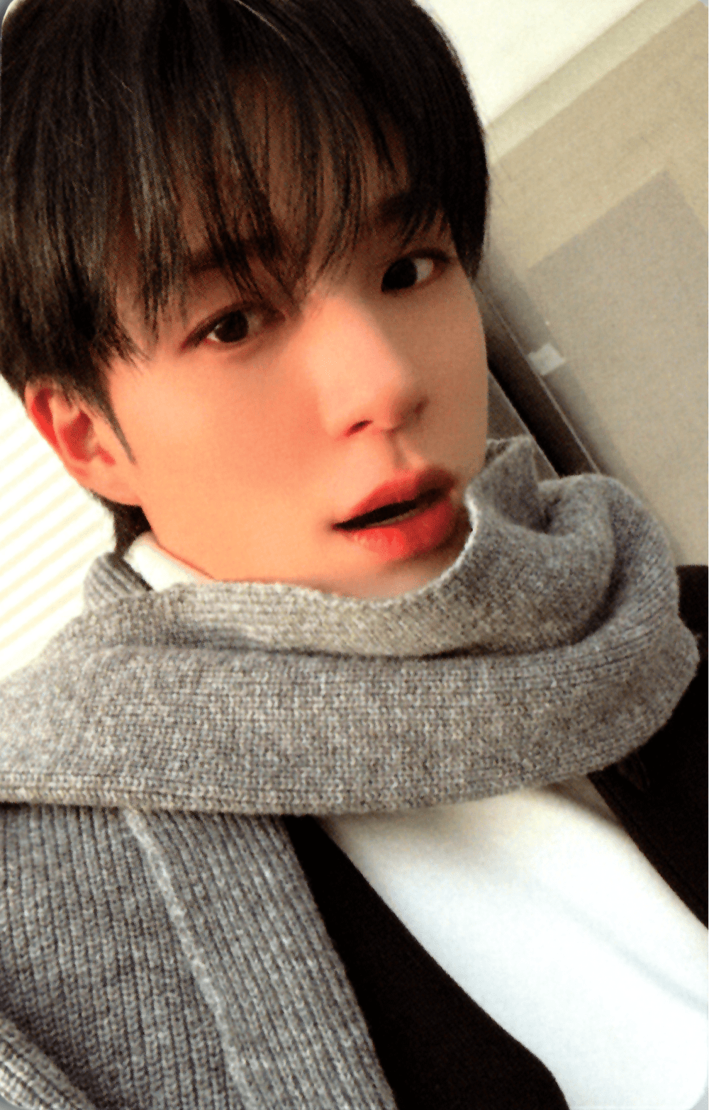 NCT JNJM 1st Mini Album BOTH SIDES APPLE MUSIC Photocards – photocard  (Jeno 1 / / ) | HobiEgo K - pop Shop