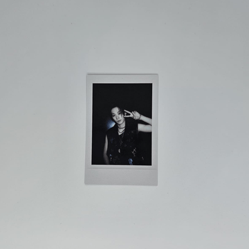 Theo Polaroid