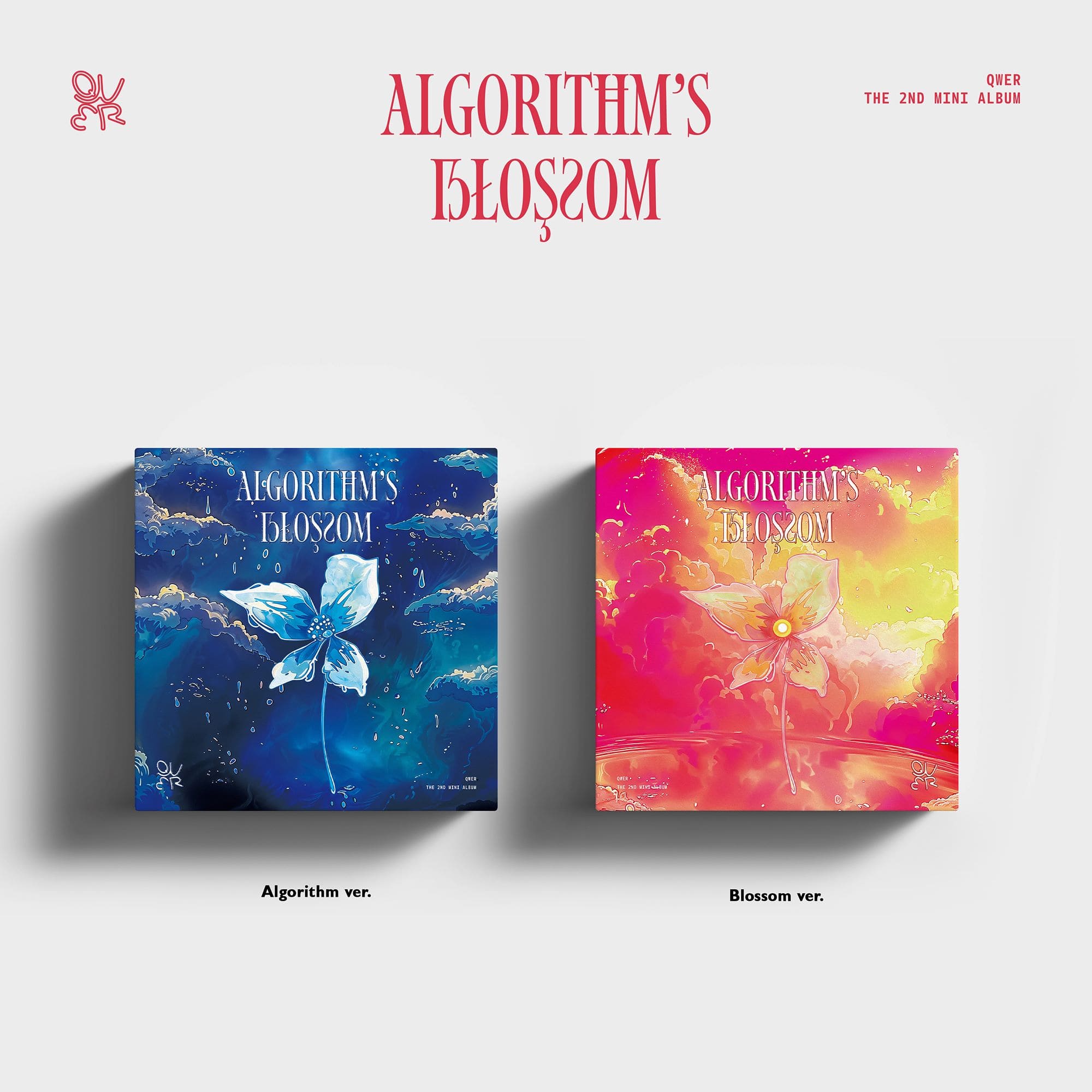 QWER 2nd Mini Album Algorithm's Blossom – album (Algorithm (BLUE) / / ) | HobiEgo