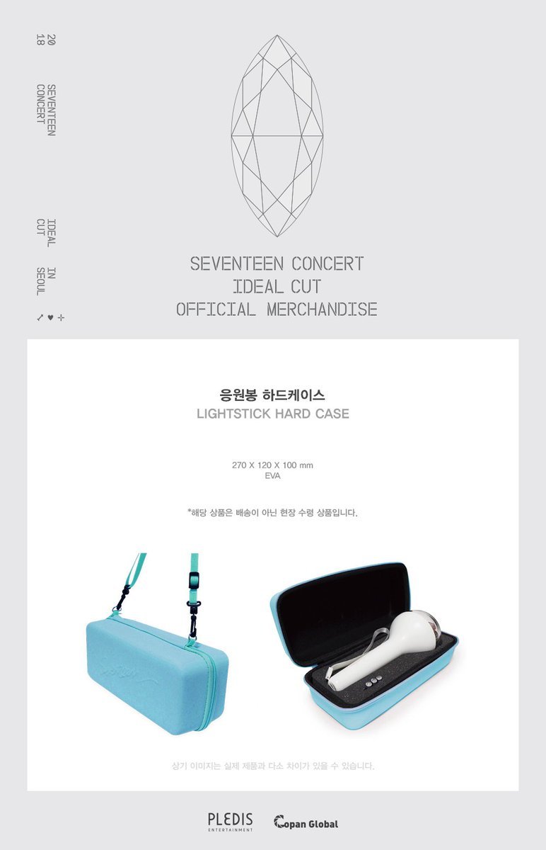 SEVENTEEN Official Lightstick Hard Case – lightstick ( / / ) | HobiEgo
