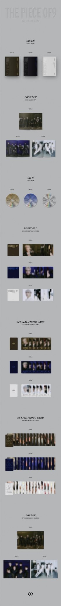 SF9 12th Mini Album THE PIECE OF 9 – album (Scene (BROWN) / / ) | HobiEgo