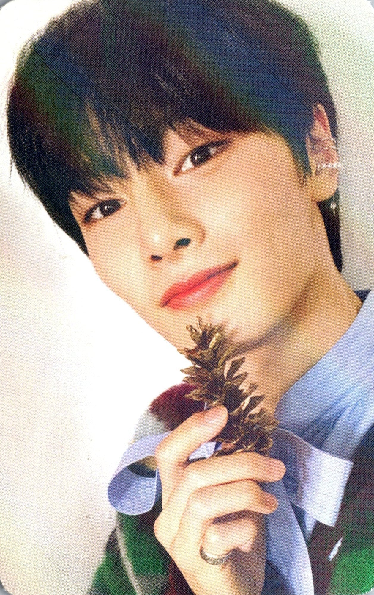 Stray Kids Holiday Special Single Christmas EveL Hologram Aladin Photocards – photocard  (I.N / / ) | HobiEgo K - pop Shop