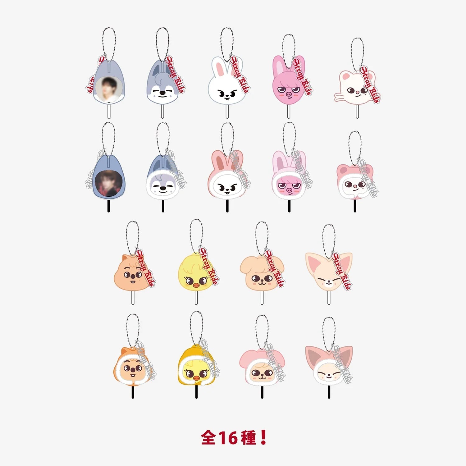 Stray Kids World Tour DominATE Japan Random Mini Picket Keyring – Keyring ( / / ) | HobiEgo