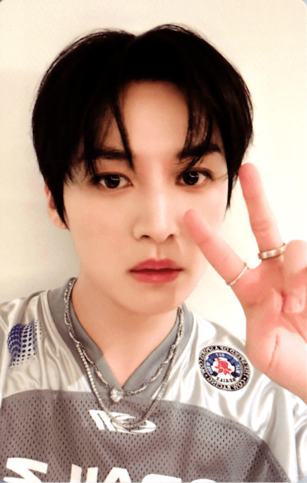 Stray Kids World Tour dominATE SEOUL DVD Pre - Order Benefit Photocards – photocard  (Lee Know / / ) | HobiEgo