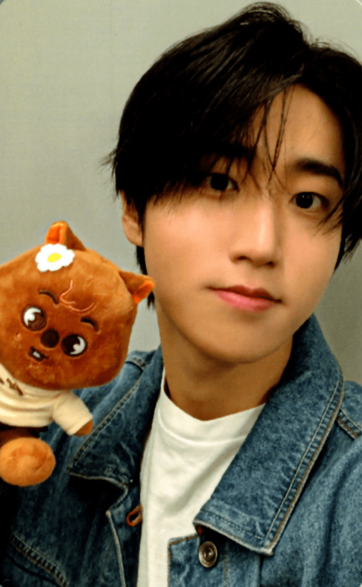 STRAY KIDS ZOOTOPIA 2 SKZOO Pop - Up Benefit Photocards – photocard  (Han / / ) | HobiEgo