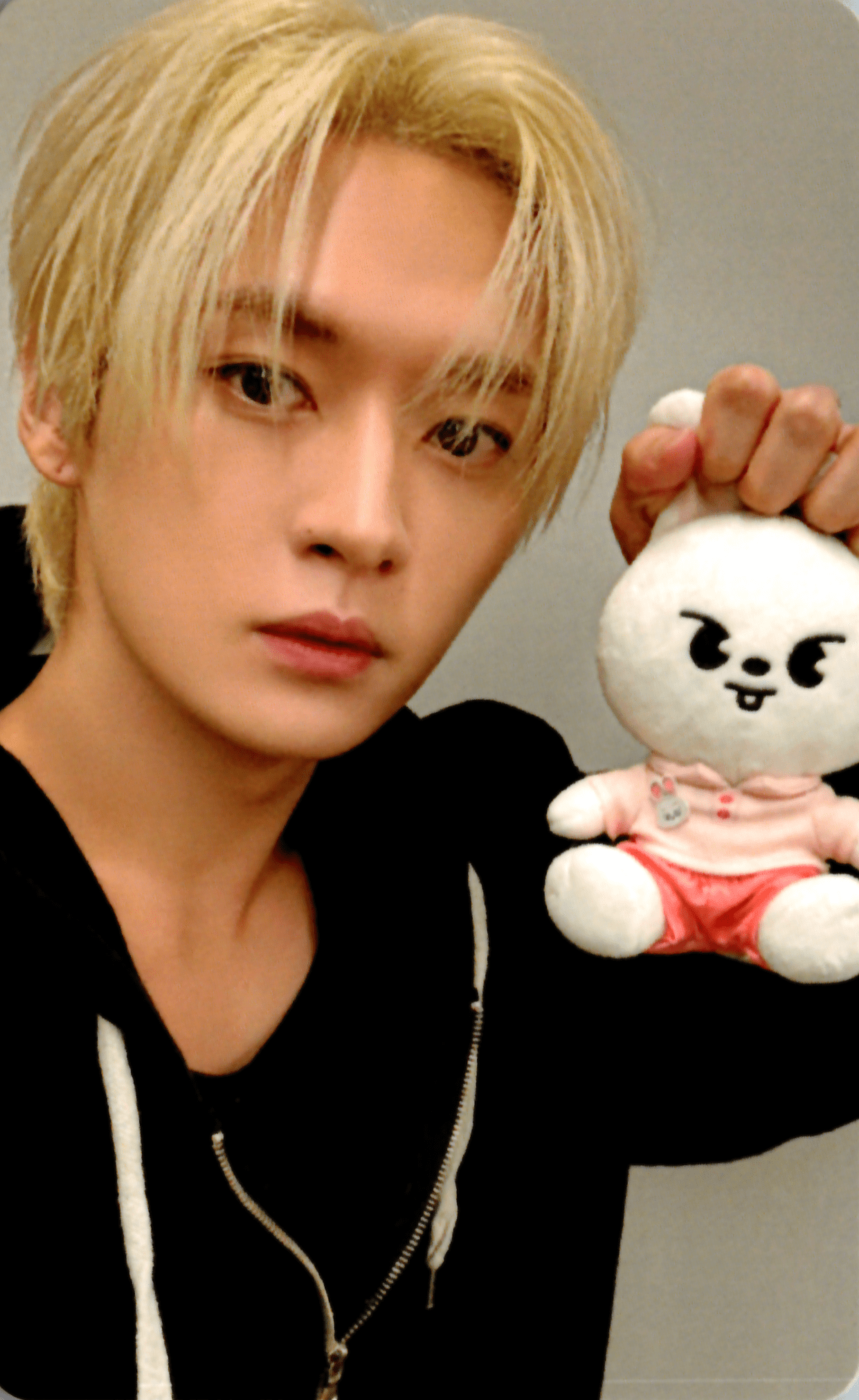 STRAY KIDS ZOOTOPIA 2 SKZOO Pop - Up Benefit Photocards – photocard  (Lee Know / / ) | HobiEgo