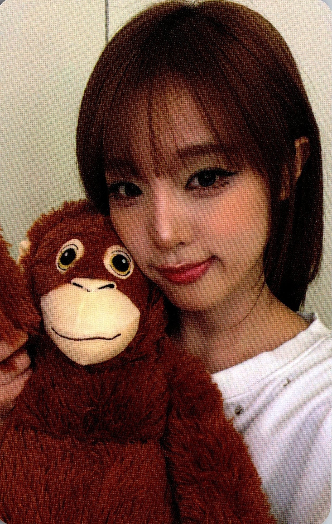 YENA 5th Mini Album LOVE CATCHER APPLE MUSIC Poca Version Photocards – photocard  (C / / ) | HobiEgo K - pop Shop