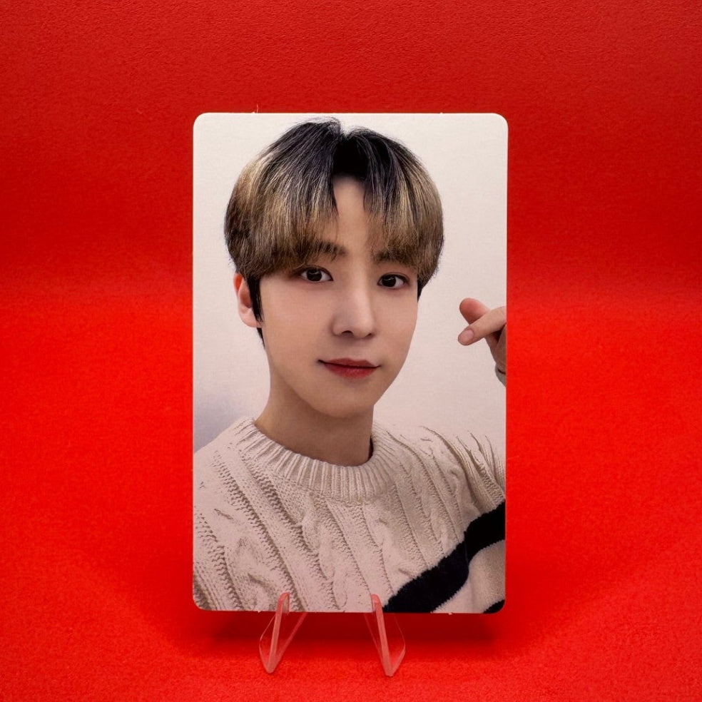 ATEEZ X KAURA POCA VALENTEEZ Photocards