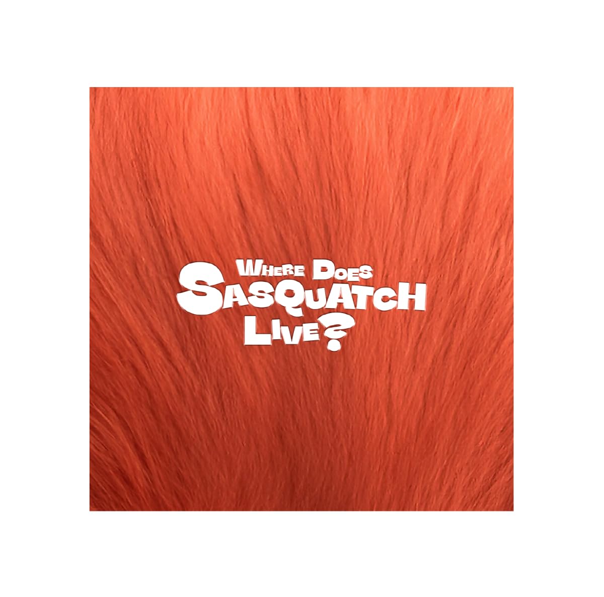 ZIOR PARK Where Does The Sasquatch Live? – album ( / / ) | HobiEgo